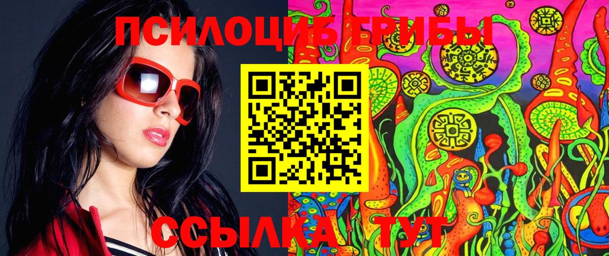 Псилоцибиновые грибы мицелий Осинники