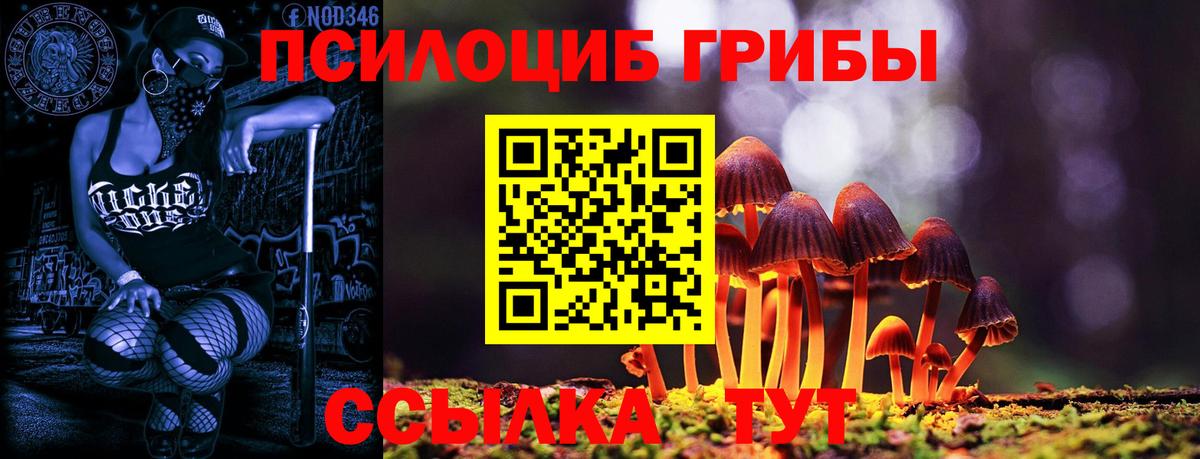 Псилоцибиновые грибы мицелий  Вход с VPN  Галлюциногенные грибы MAGIC MUSHROOMS  Осинники 